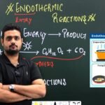 Is Baking Bread Endothermic Or Exothermic | Detailed Guide