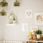 15+ Gorgeous Plants to Use in Your Baby’S Nursery