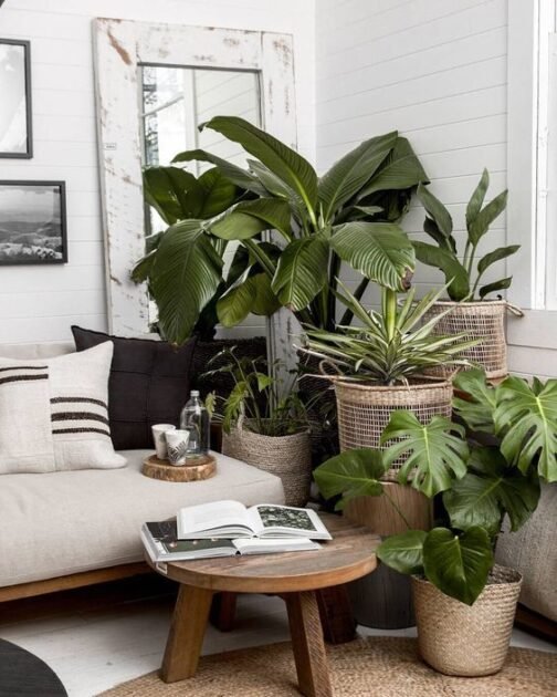 How to Arrange Plants in Living Room: 20 Fun Ideas to Test