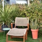 Redecorating Your Garden: Here Are Some Pro Tips That Can Help