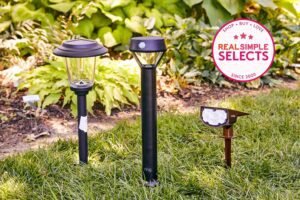 Safest Outdoor Lighting Types for Your Garden Makeover